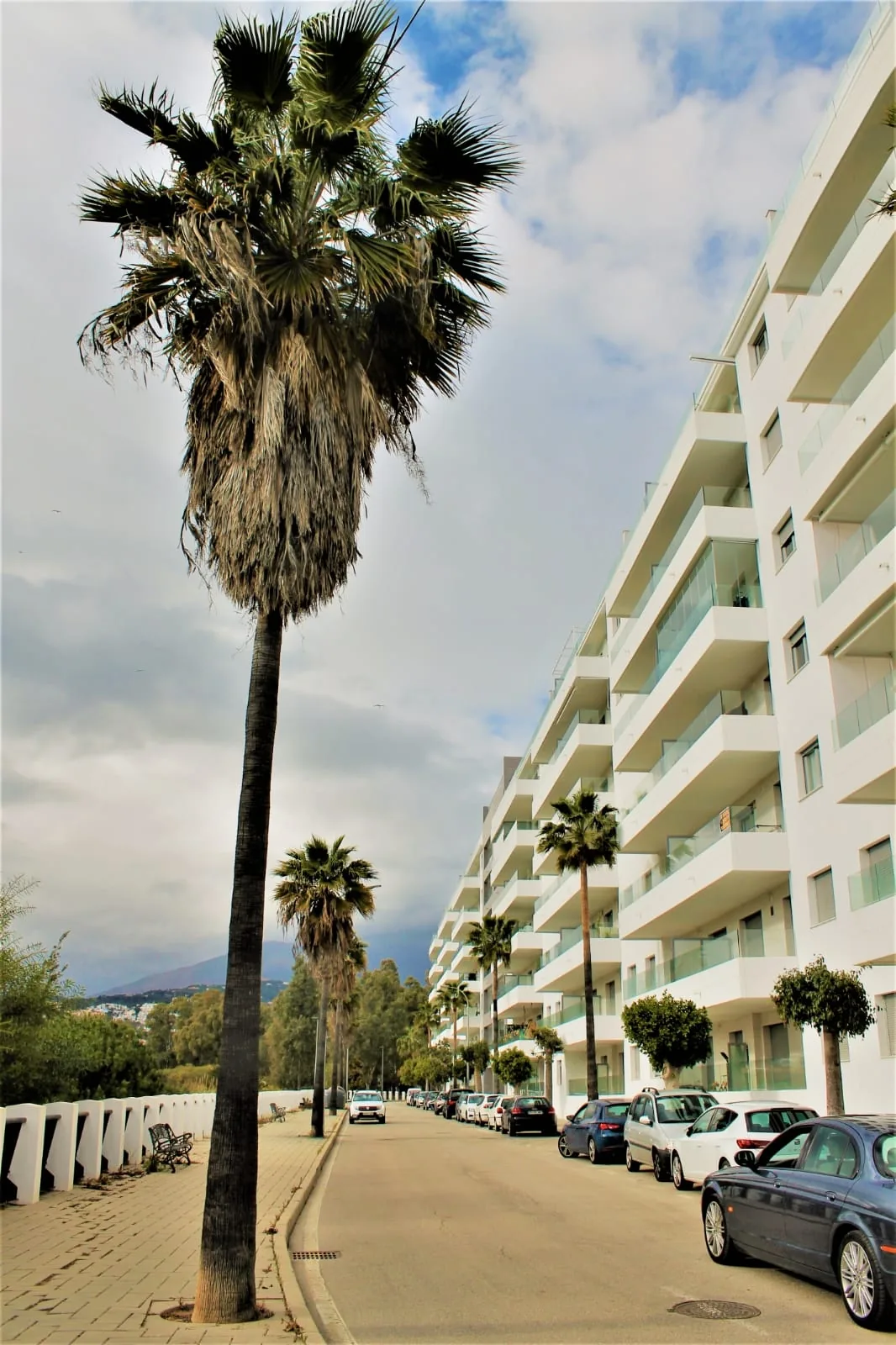Straat met palmbomen voor het gebouw, Nueva Andalucía Marbella